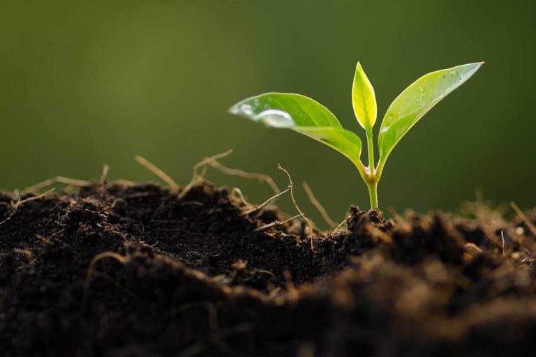 Fields of Activities