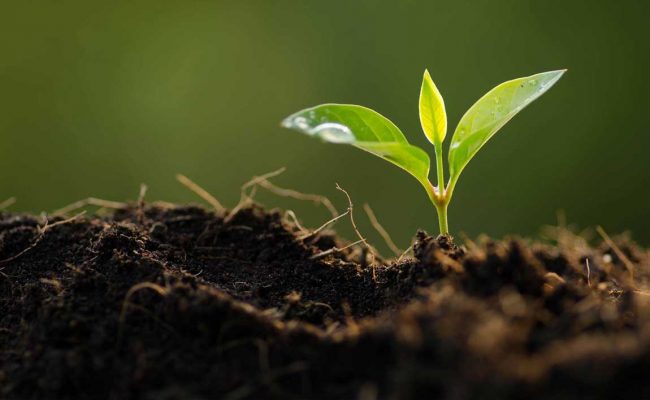 Fields of Activities