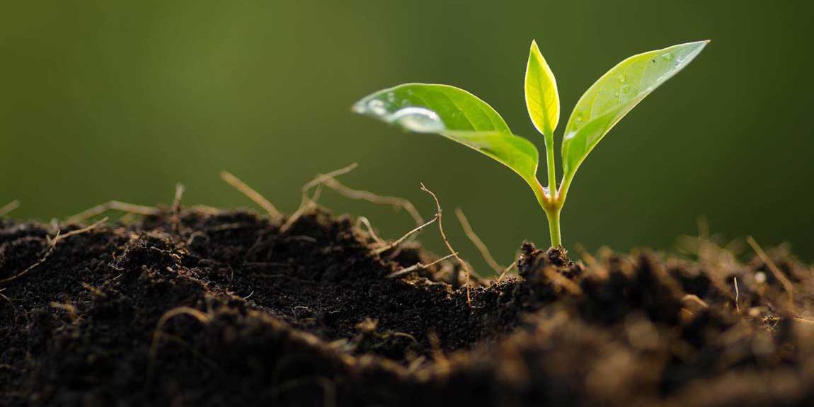 Environmental-control